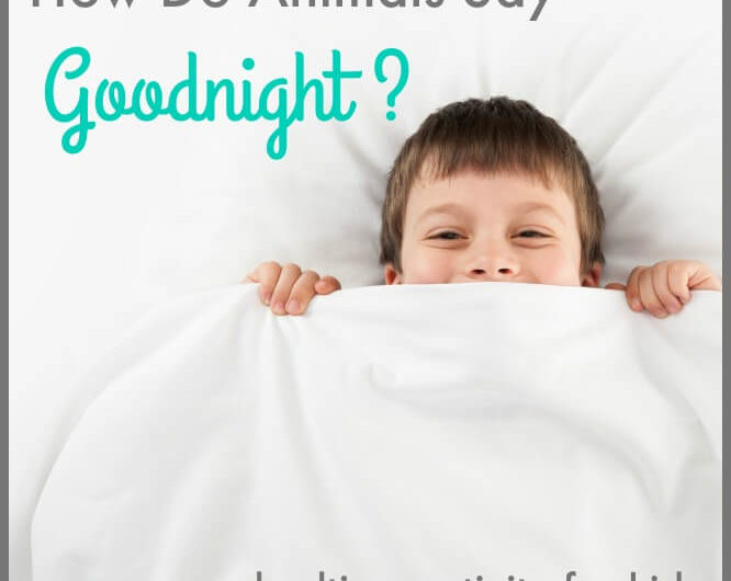 Bedtime Activities for Kids: How Do Animals Say Goodnight?